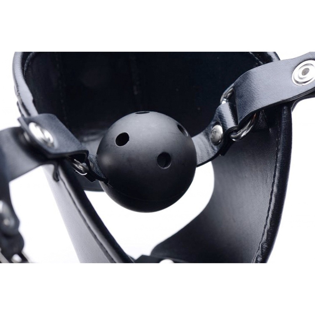 PUP - PUPPY PLAY MASK + BREATHABLE BALL GAG