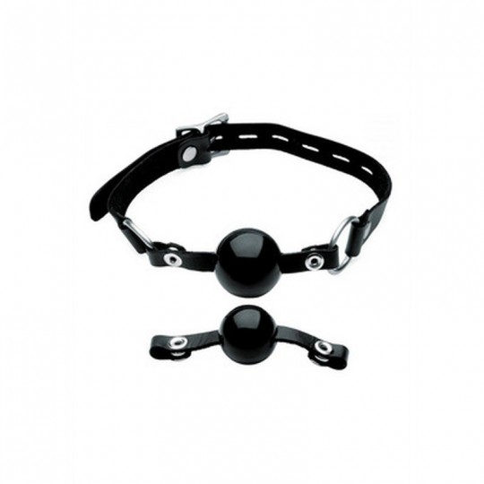 INTERCHANGEABLE SILICONE BALL GAG SET