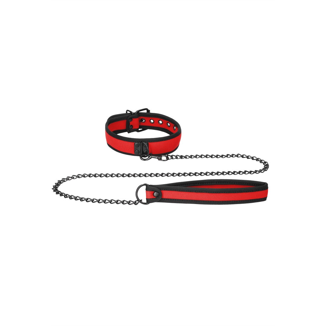 NEOPRENE COLLAR WITH LEASH