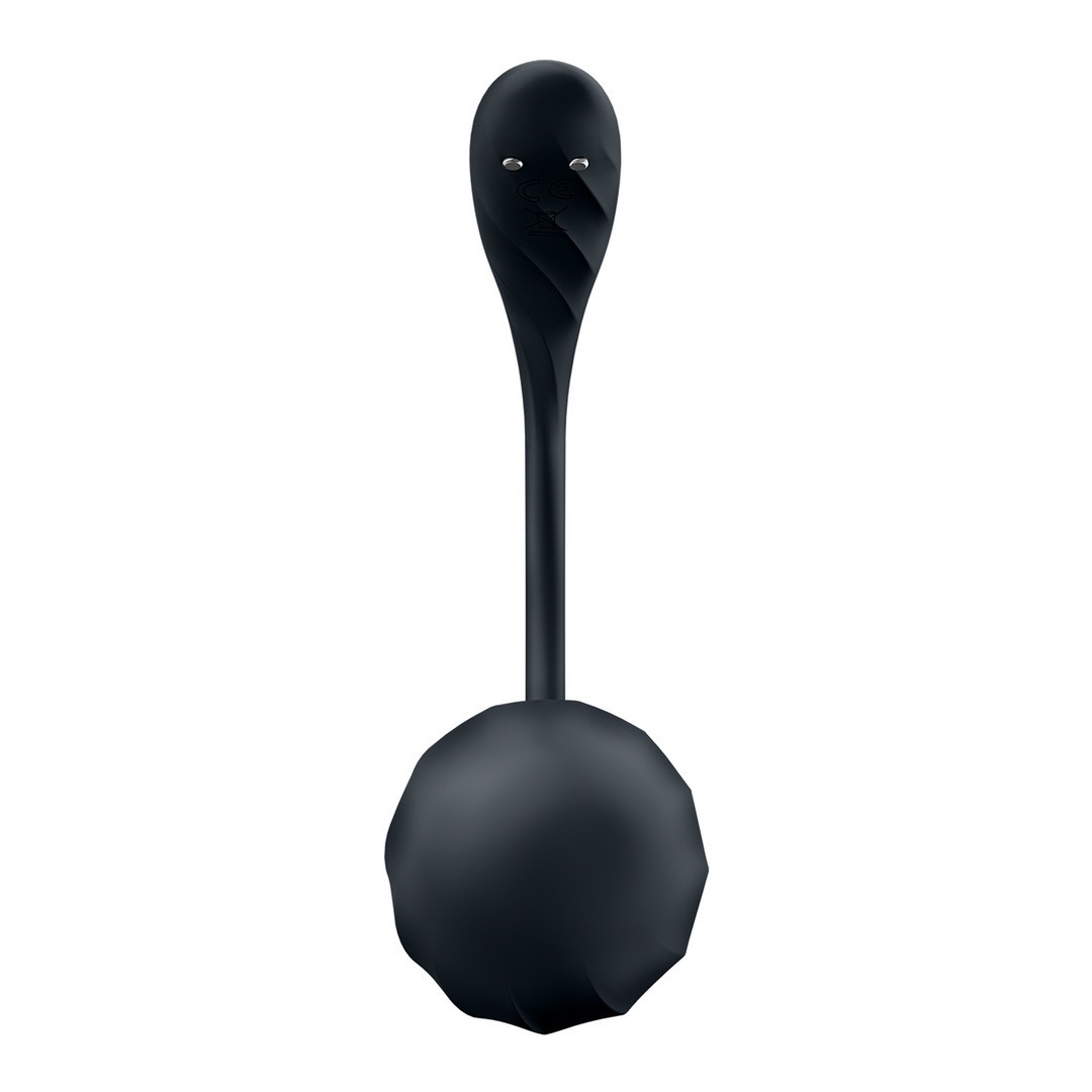 HUEVO VIBRADOR CON APLICACIÓN RIBBED PETAL CONNECT APP NEGRO SATISFYER