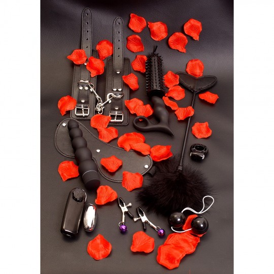 AMAZING PLEASURE SEX TOY KIT