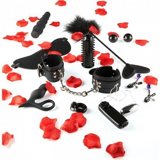 AMAZING PLEASURE SEX TOY KIT