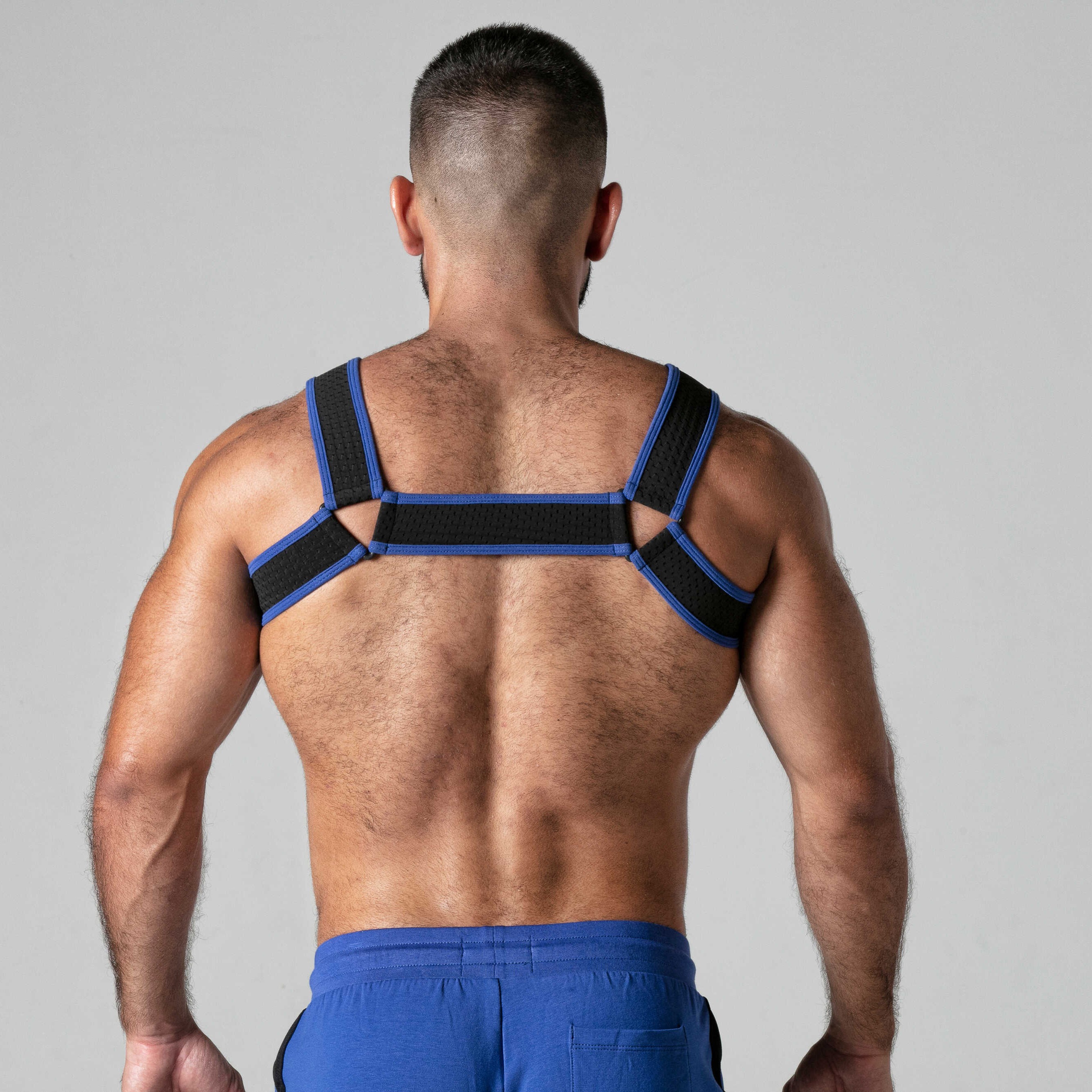 LOCKER GEAR LOOK AT BODY HARNESS BLUE