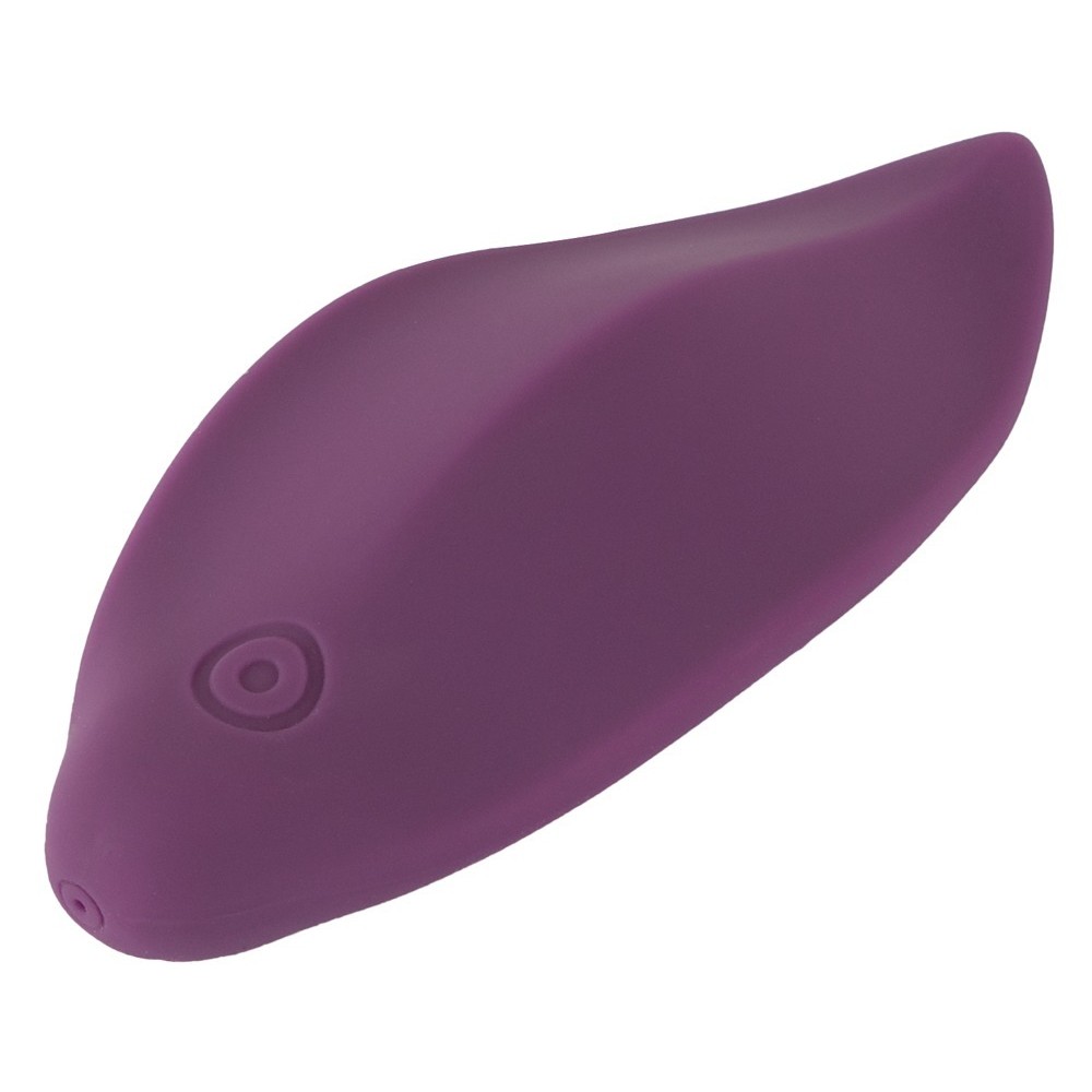 PANTY VIBRATOR