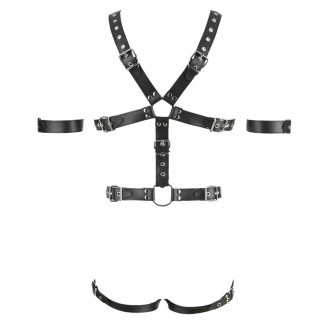 HARNESS