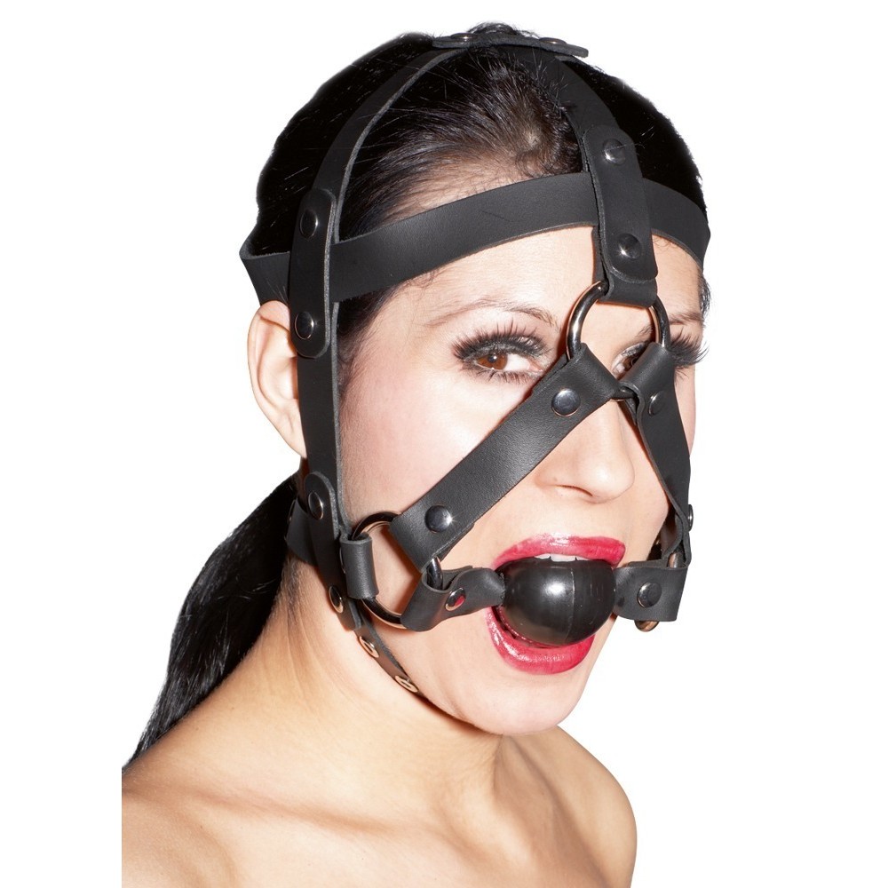 LEATHER HEAD HARNESS