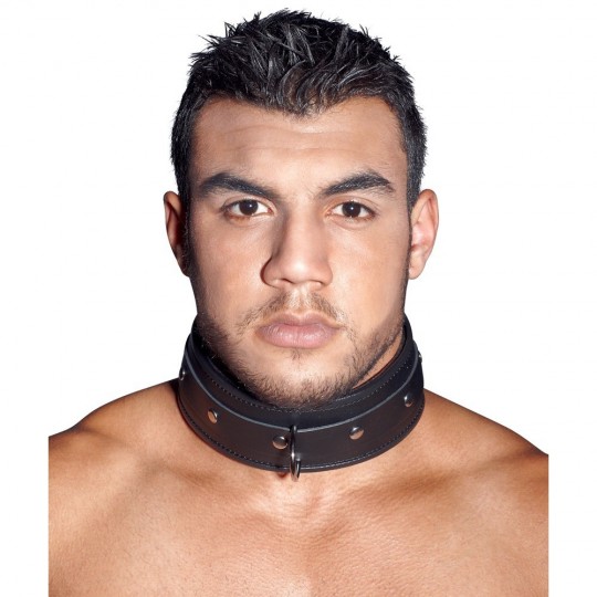 LEATHER COLLAR