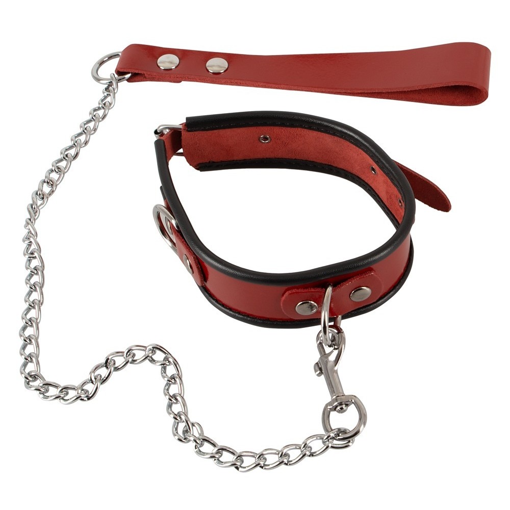 COLLAR PLUS LEASH