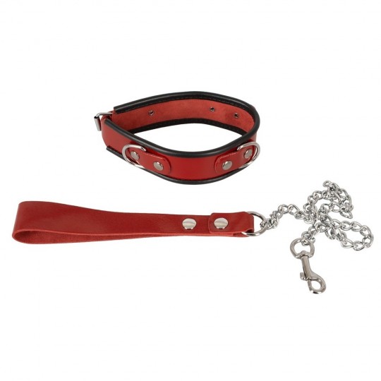 COLLAR PLUS LEASH