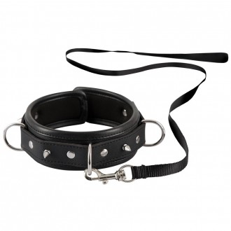 COLLAR WITH LEASH