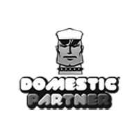 DOMESTIC PARTNER